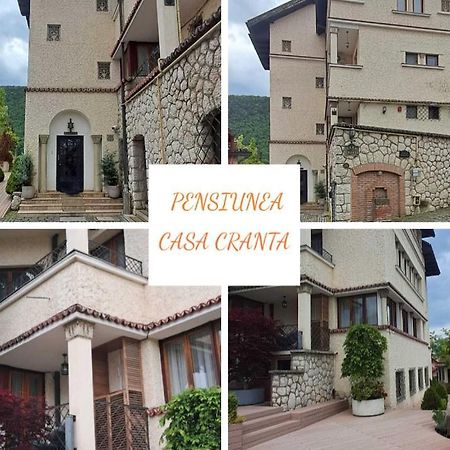 Pensiunea Casa Cranta Braşov Exterior foto